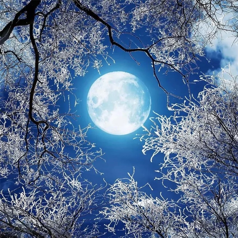 Detail Background Langit Malam Hd Nomer 38
