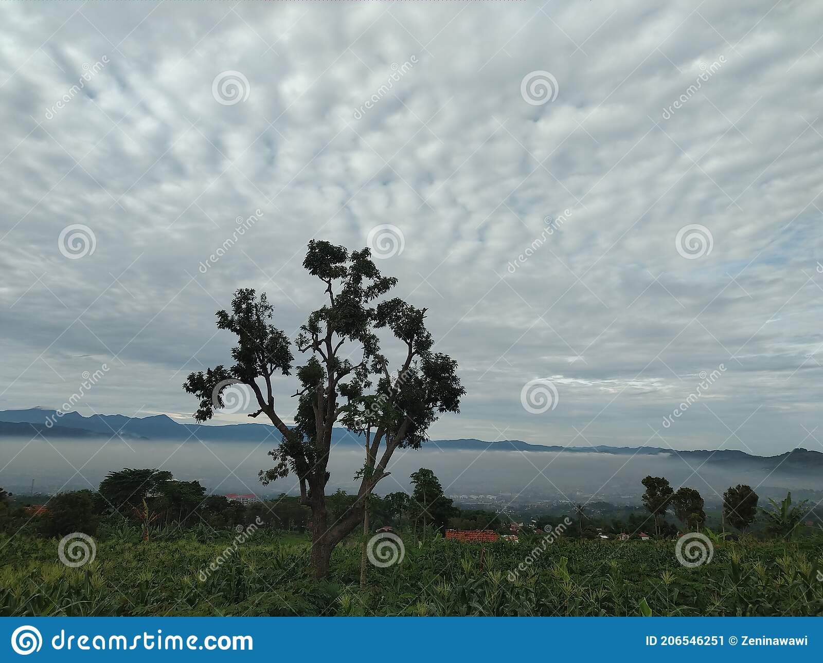 Detail Background Langit Mendung Nomer 30