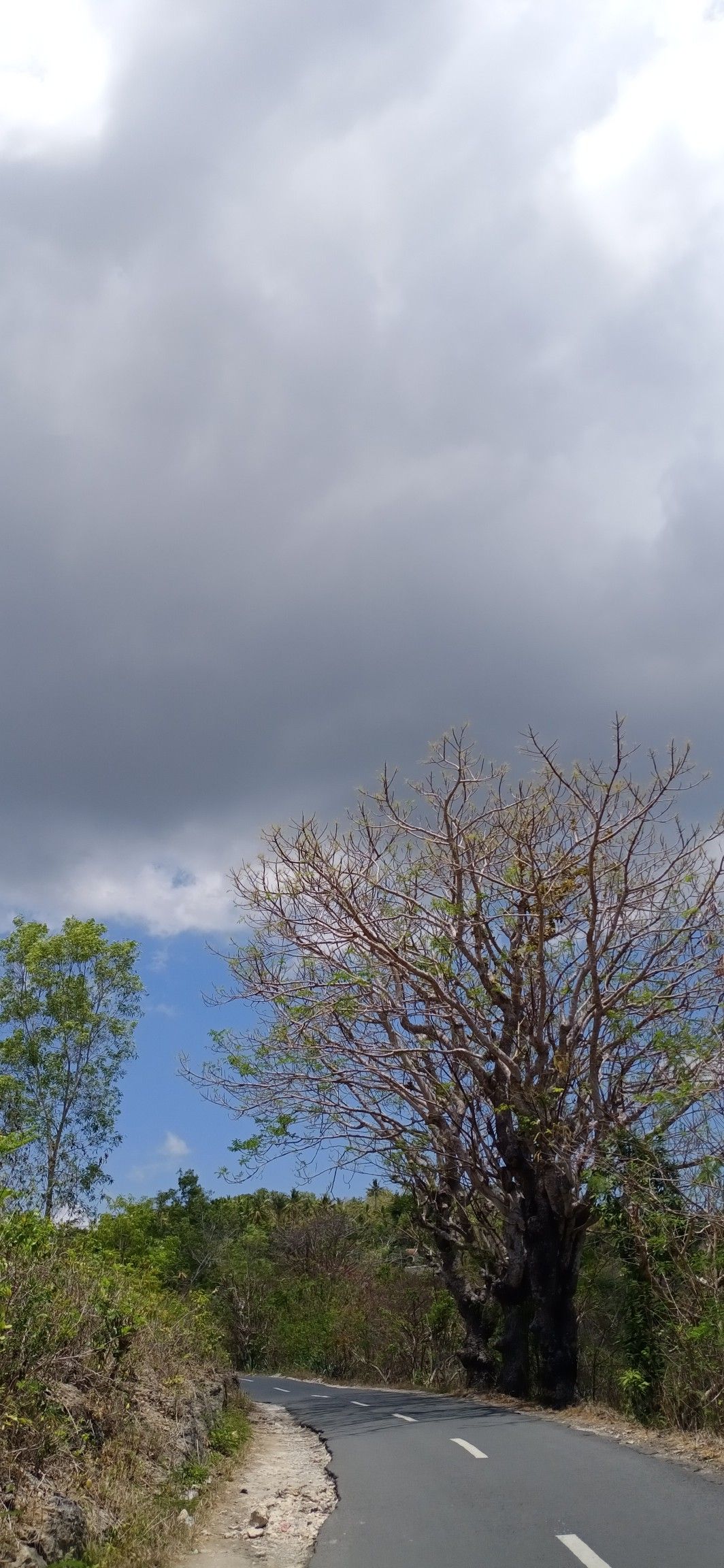 Detail Background Langit Mendung Nomer 37