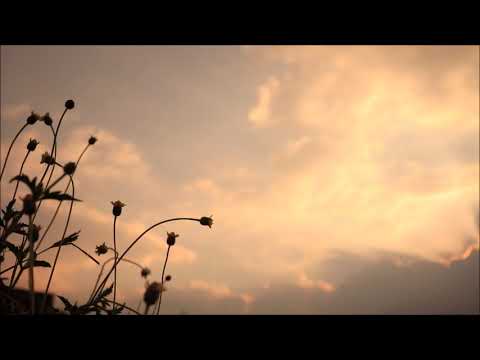 Detail Background Langit Senja Nomer 38