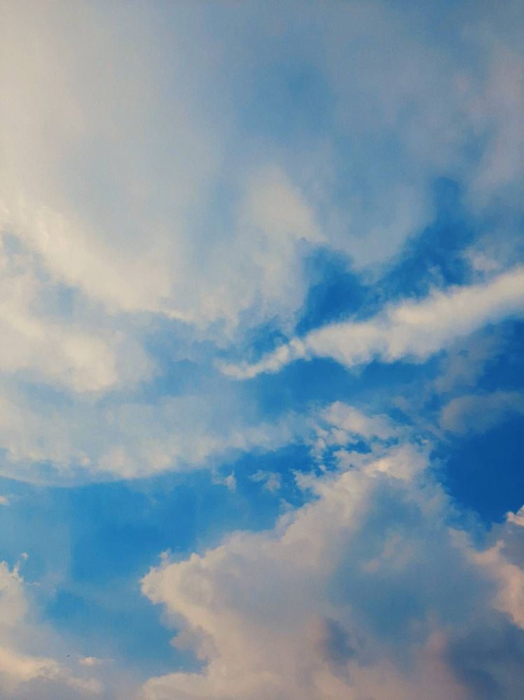 Detail Background Langit Sore Nomer 48