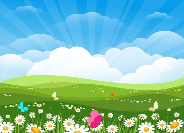 Detail Background Langit Vector Nomer 44