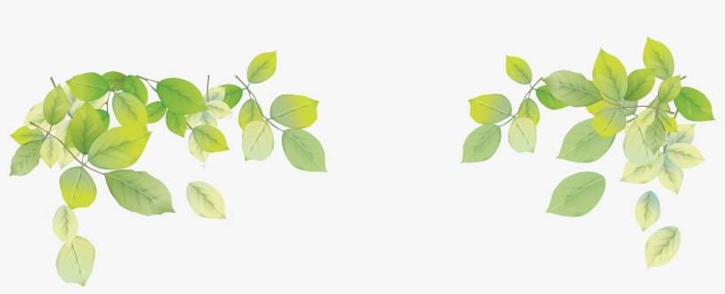 Detail Background Leaf Png Nomer 10