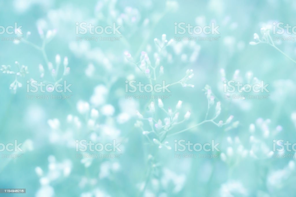 Detail Background Lembut Nomer 28