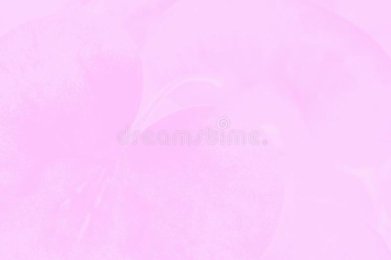 Detail Background Light Pink Nomer 39