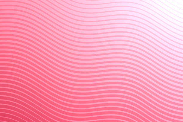 Detail Background Line Pink Nomer 47