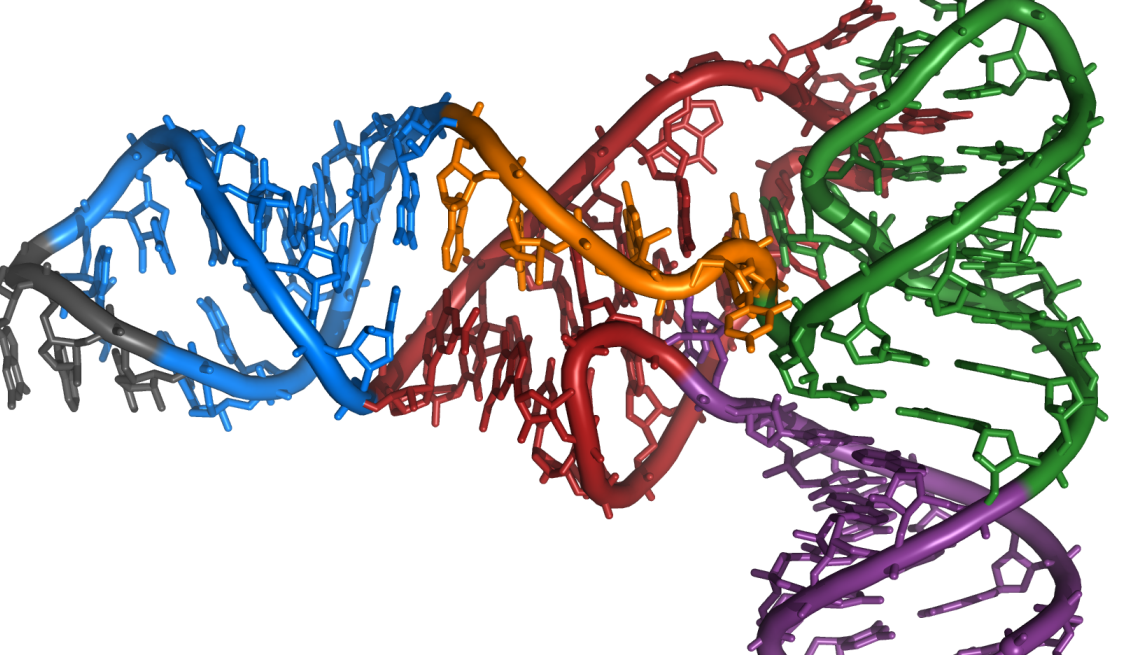 Detail Dna Struktur Nomer 12