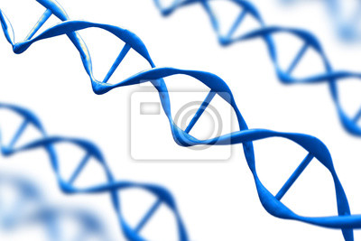 Detail Dna Struktur Nomer 6