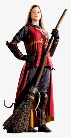 Detail Ravenclaw Quidditch Team Nomer 14