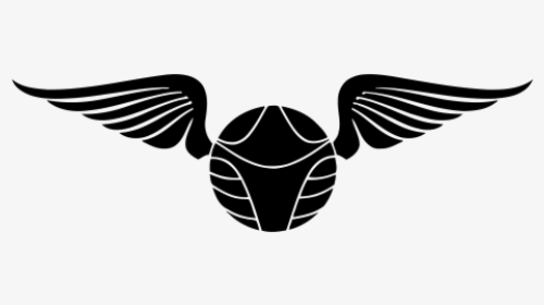 Detail Ravenclaw Quidditch Team Nomer 20