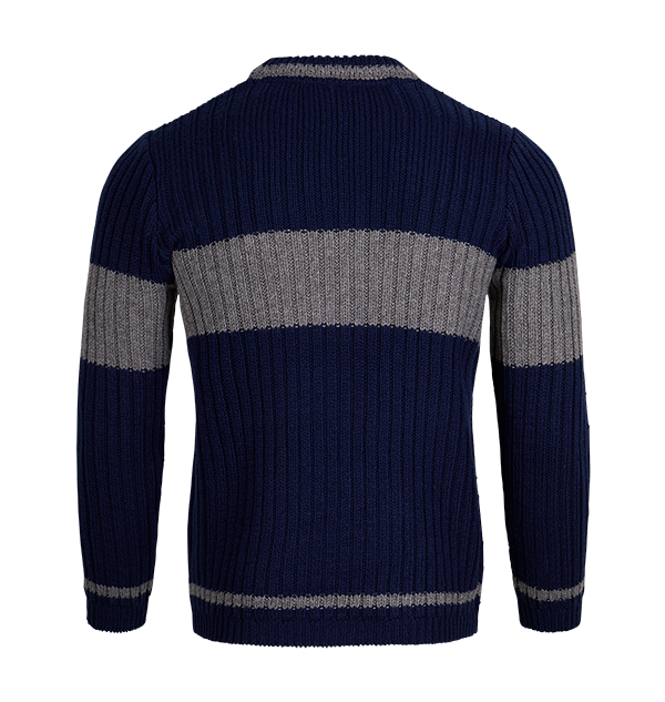 Detail Ravenclaw Quidditch Team Nomer 24