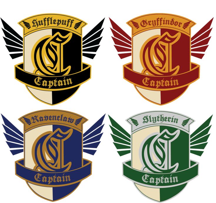Detail Ravenclaw Quidditch Team Nomer 5