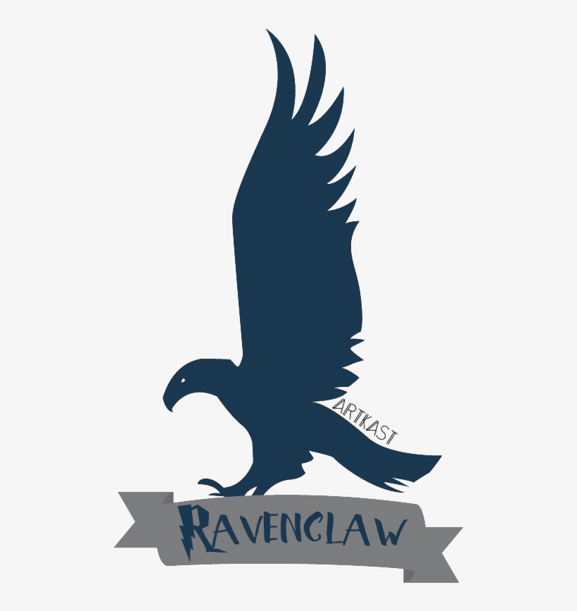 Detail Ravenclaw Quidditch Team Nomer 9