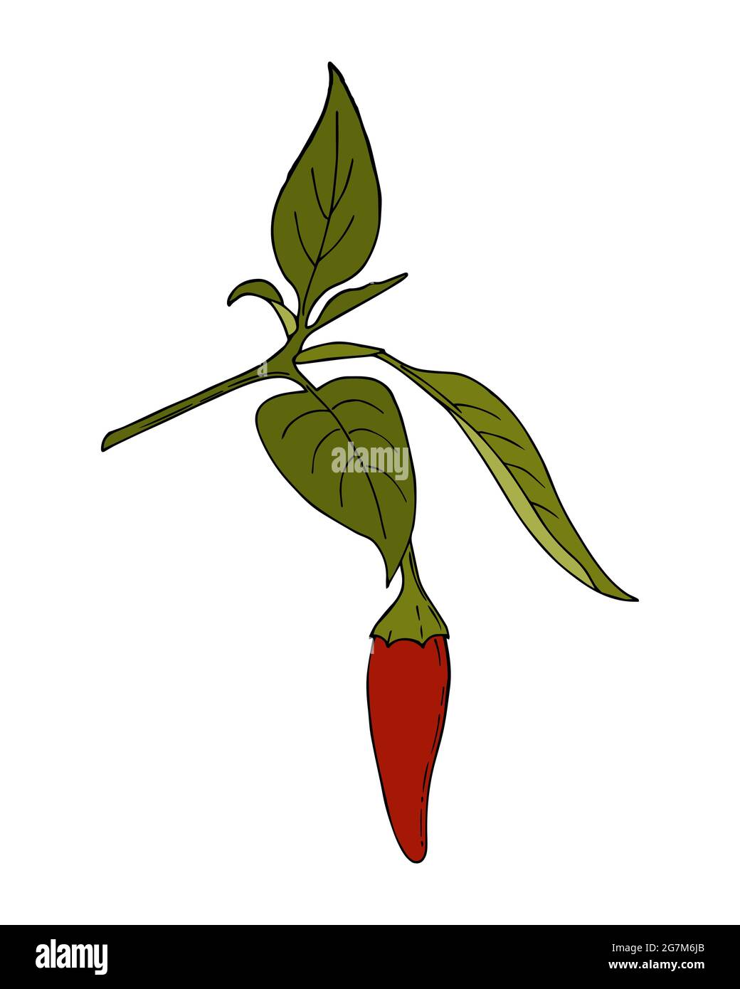 Detail Chilli Drawing Nomer 15