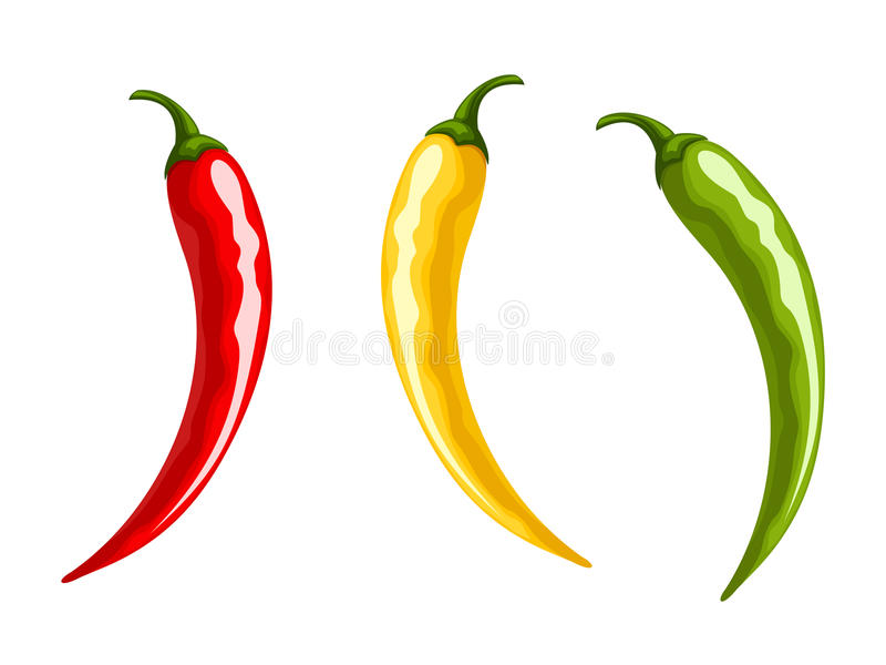 Detail Chilli Drawing Nomer 16