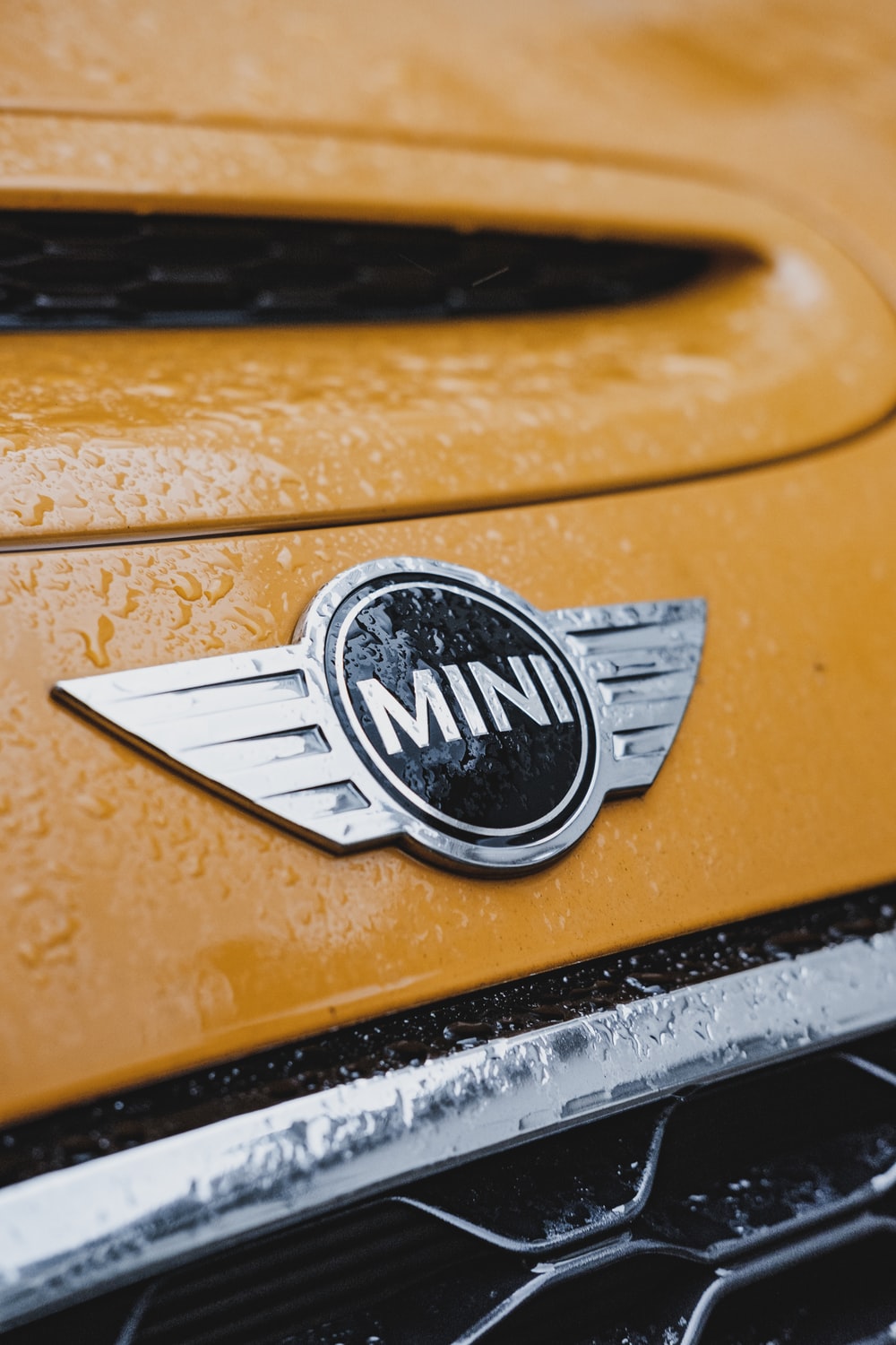 Detail Download Logo Minicooper Nomer 56