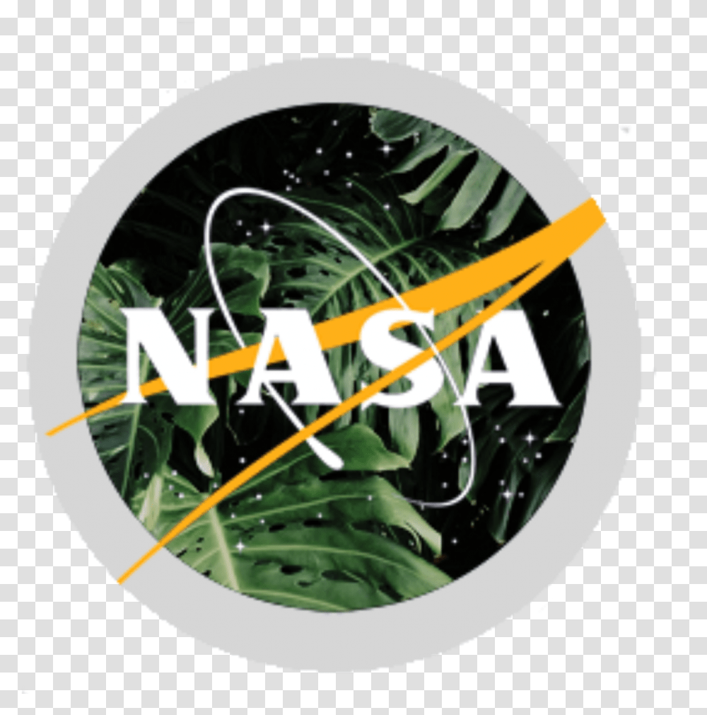 Detail Download Logo Nasa Nomer 27