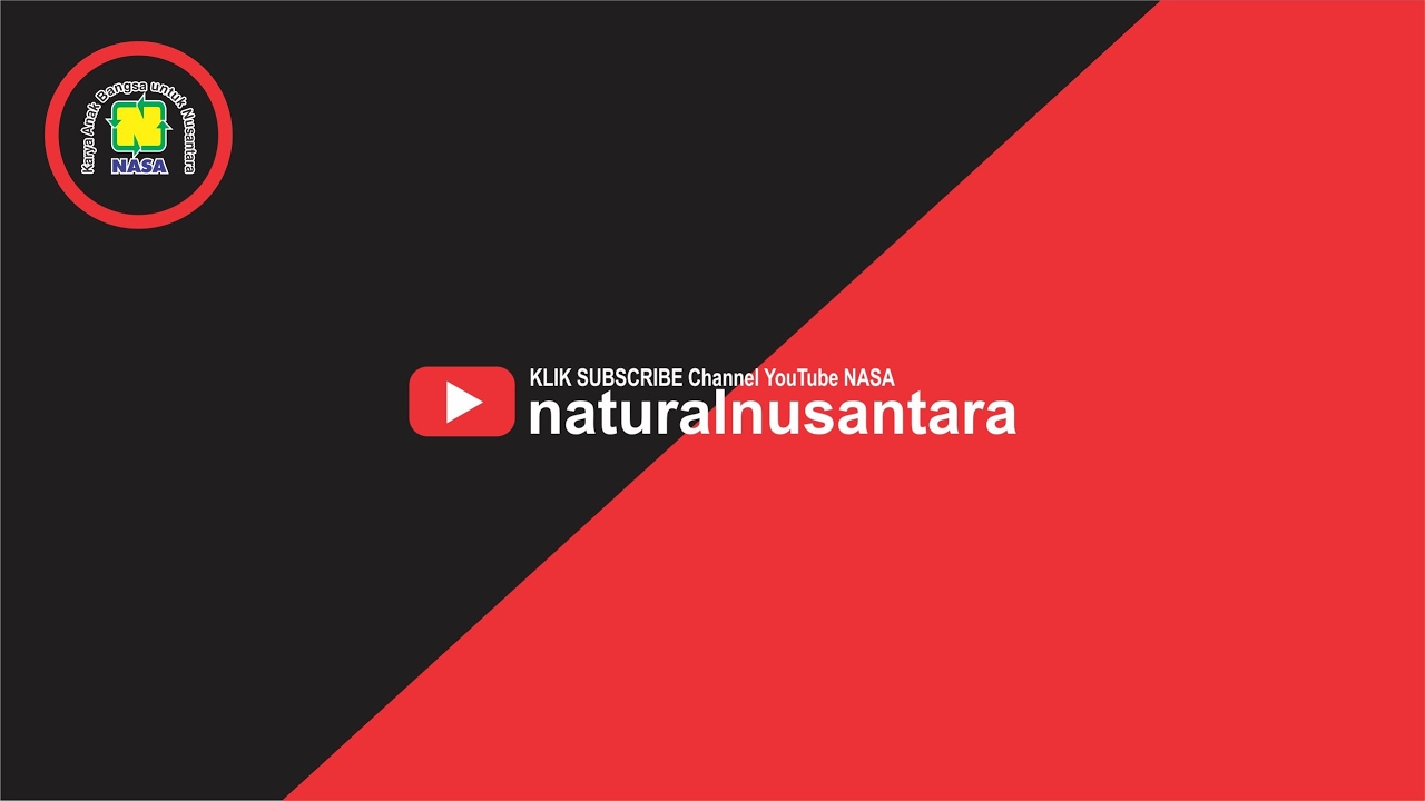 Detail Download Logo Natural Nusantara Nomer 28