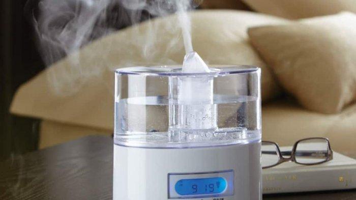 Detail Humidifier Untuk Batuk Nomer 18