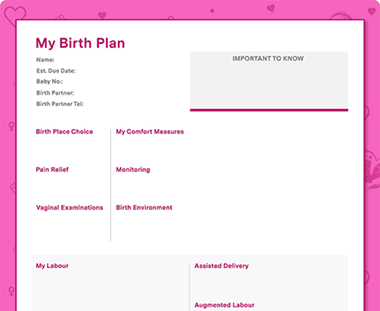 Detail Hypnobirthing Birth Plan Template Nomer 20