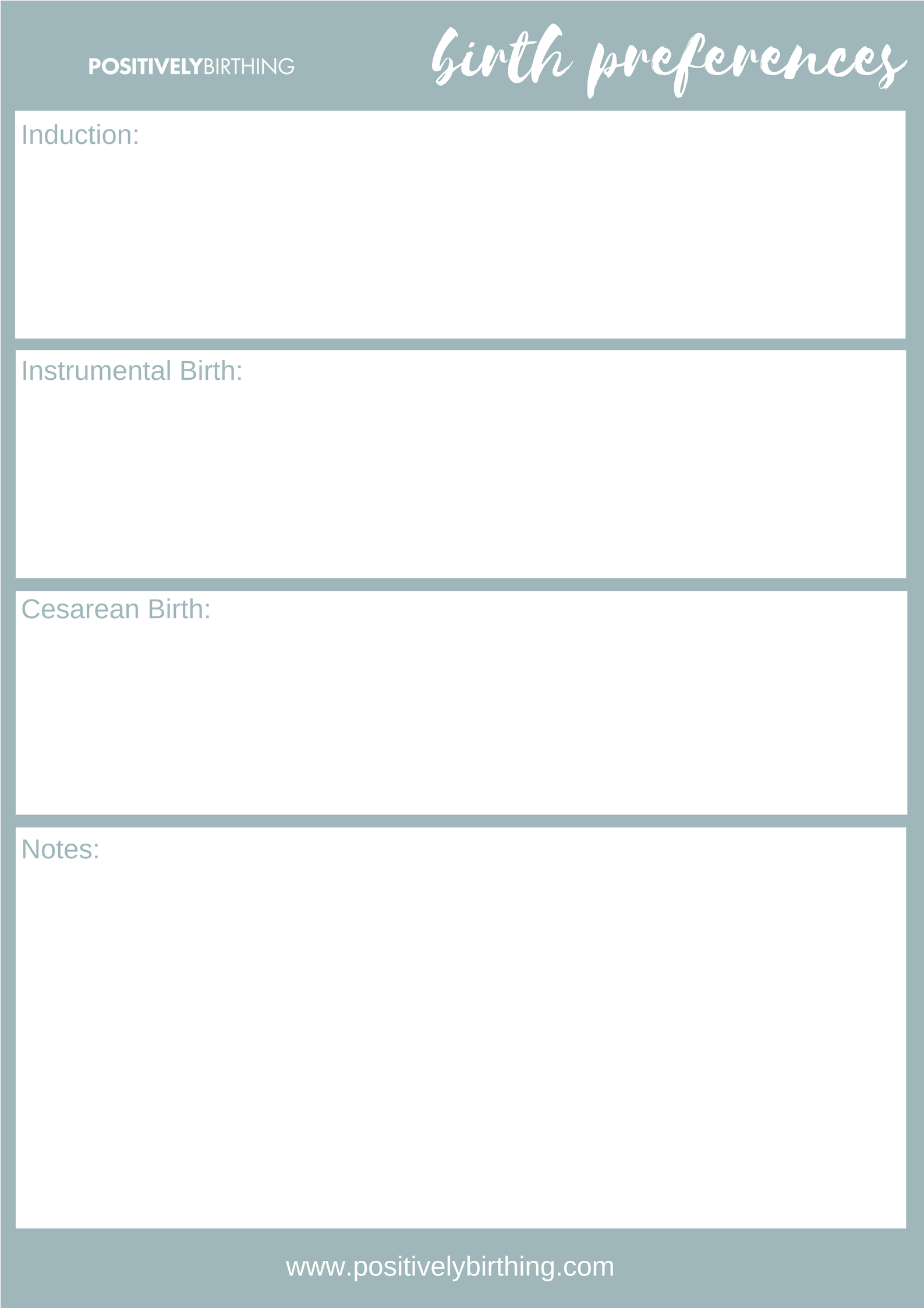 Detail Hypnobirthing Birth Plan Template Nomer 27