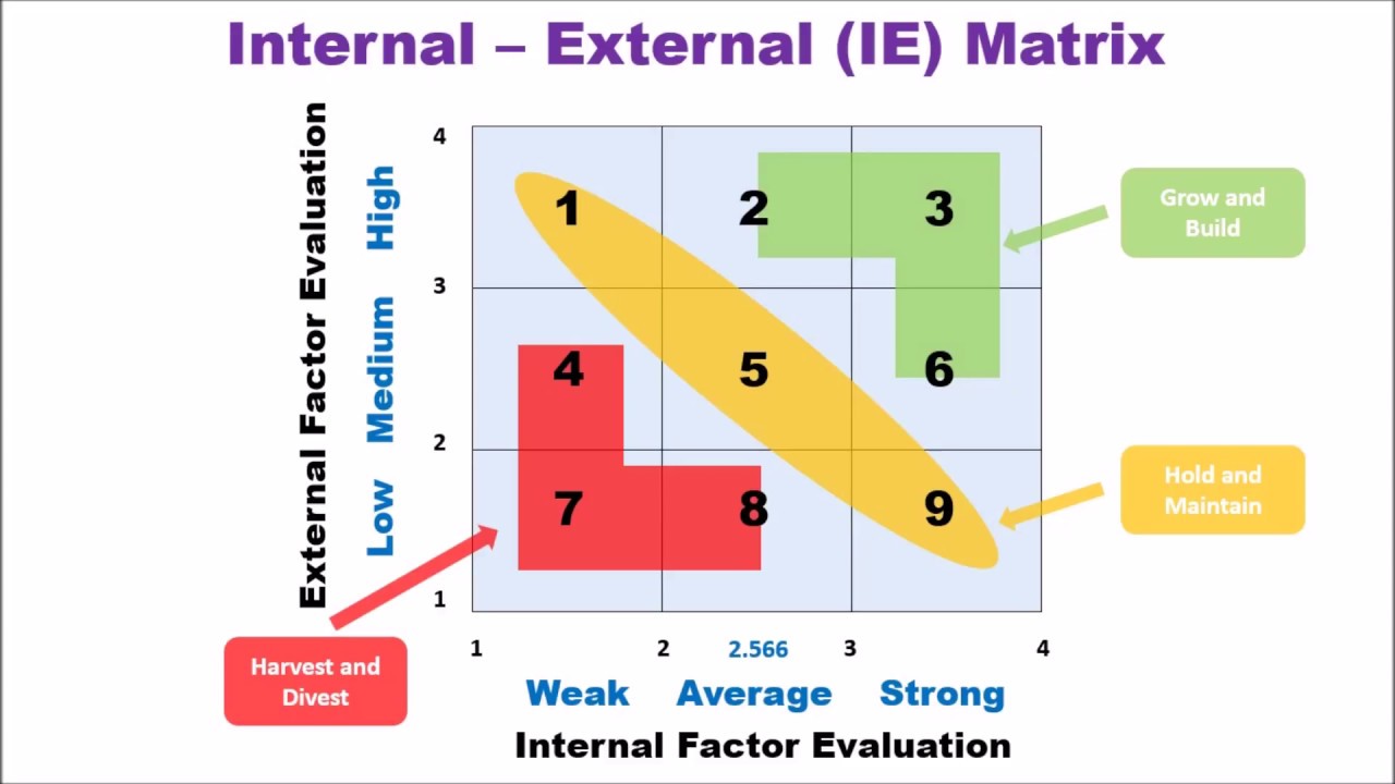 Ie Matrix Template - KibrisPDR