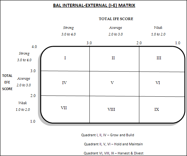 Detail Ie Matrix Template Nomer 23