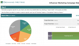 Detail Influencer Marketing Template Nomer 8