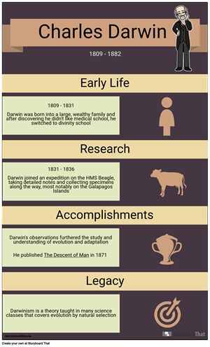 Detail Infographic Biography Template Nomer 4