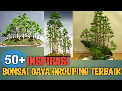 Detail Inspirasi Gaya Bonsai Nomer 27