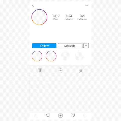 Detail Instagram Profile Template Nomer 37