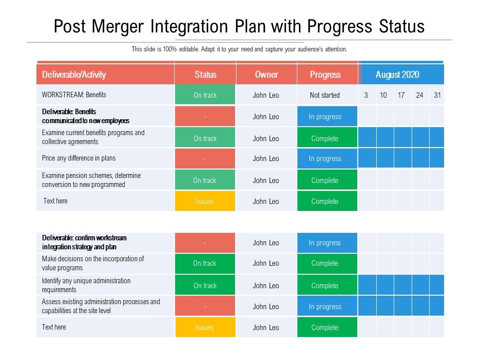 Detail Integration Plan Template Free Nomer 5