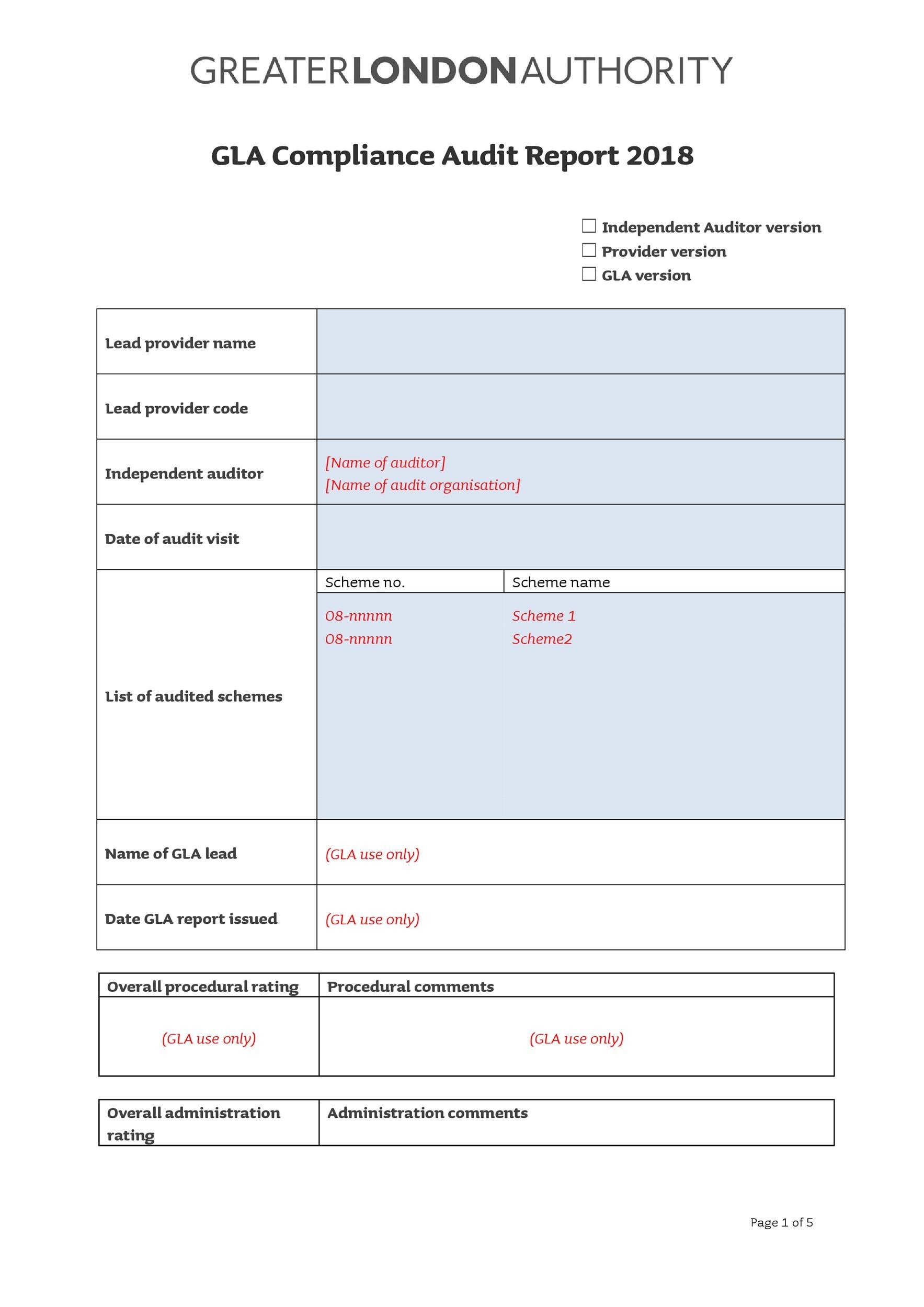 Detail Internal Audit Report Template Nomer 26