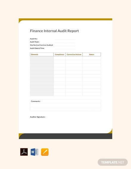 Detail Internal Audit Report Template Nomer 36