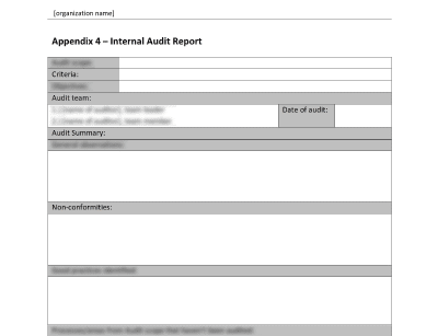 Detail Internal Audit Report Template Nomer 44