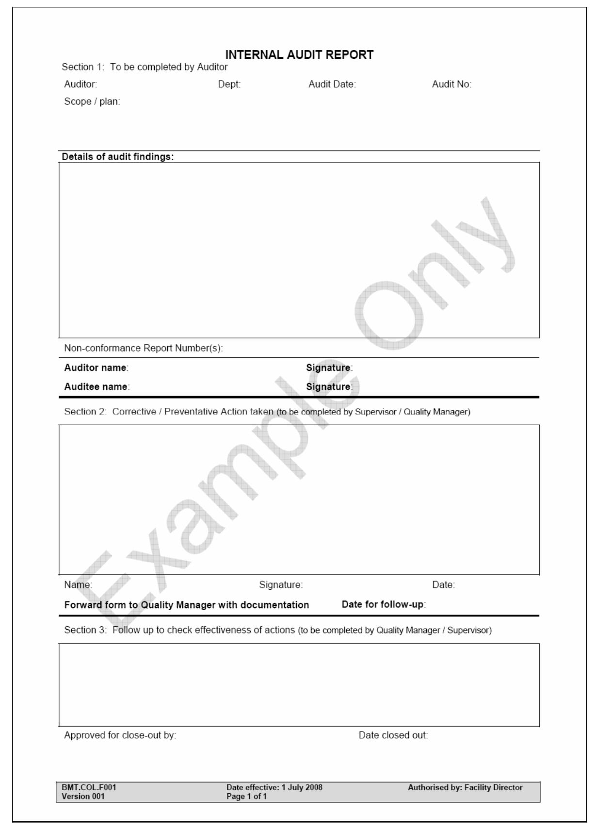 Detail Internal Audit Report Template Nomer 46