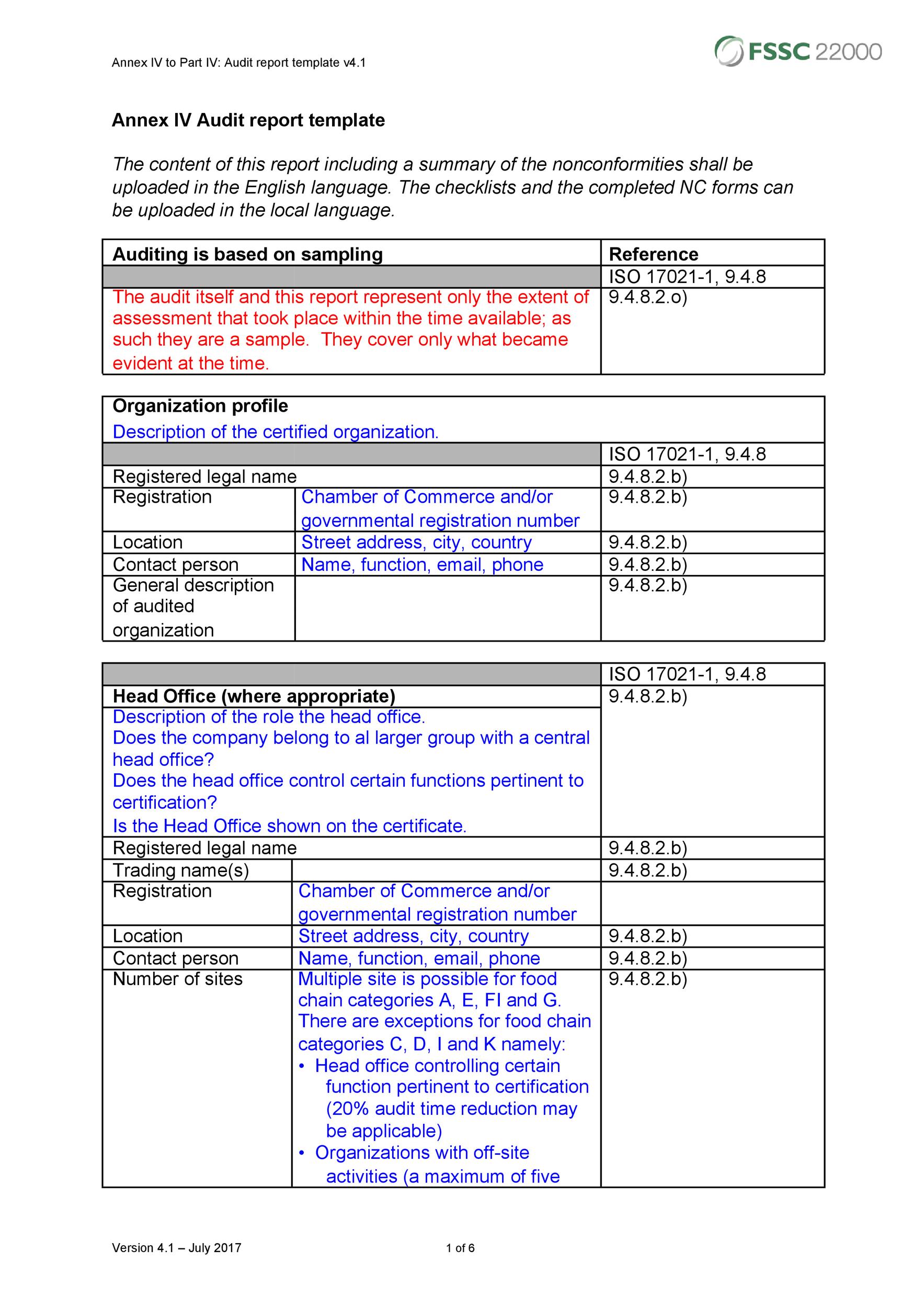 Detail Internal Audit Report Template Nomer 6