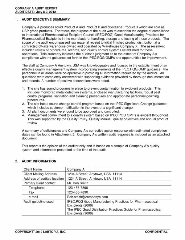 Detail Internal Audit Report Template Nomer 54