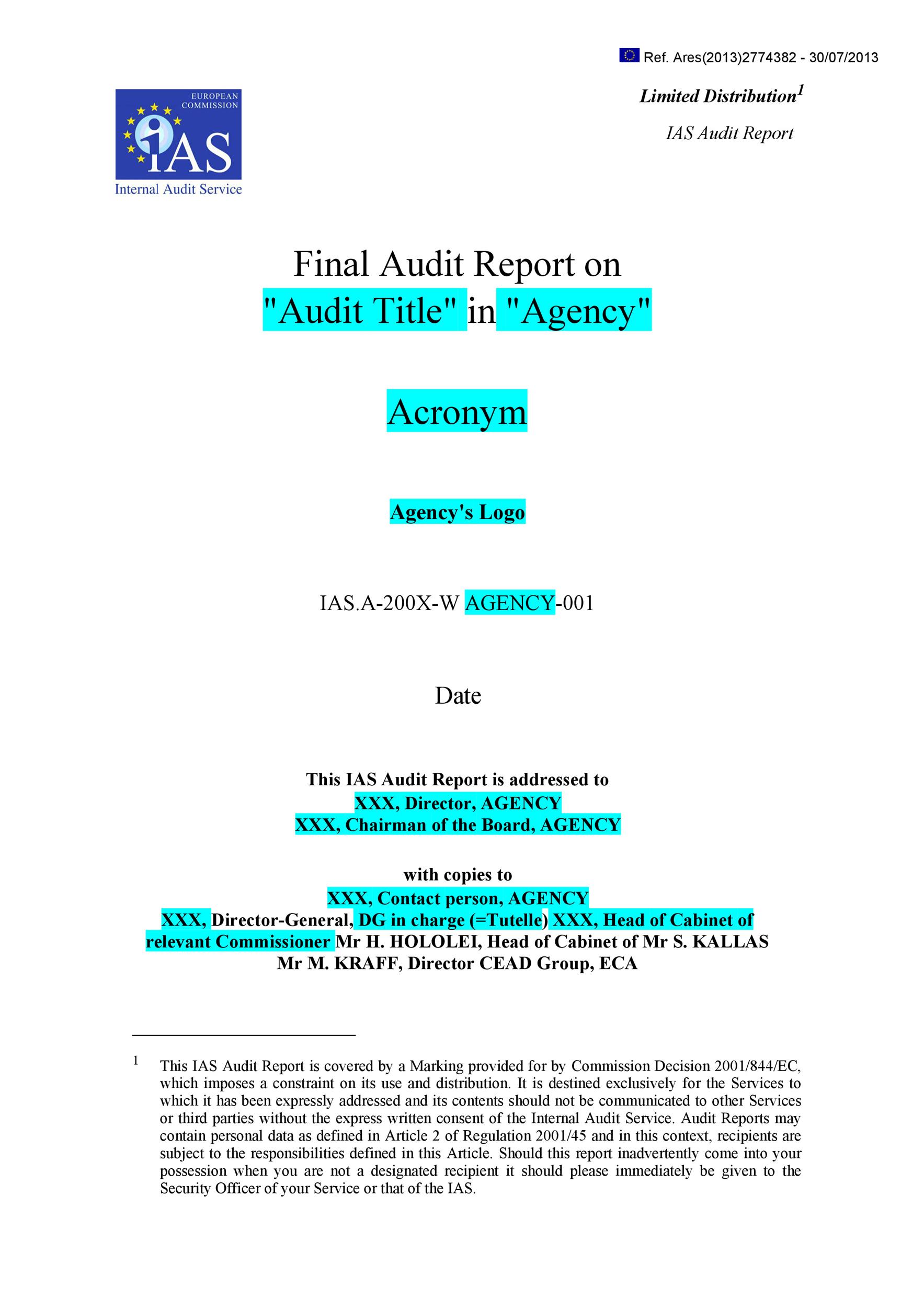 Detail Internal Audit Report Template Nomer 8