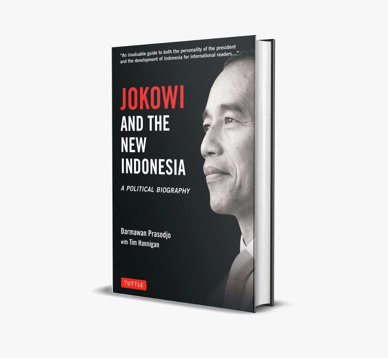 Detail Isi Buku Jokowi Under Cover Nomer 45
