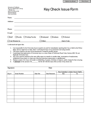 Detail Issue Form Template Nomer 19