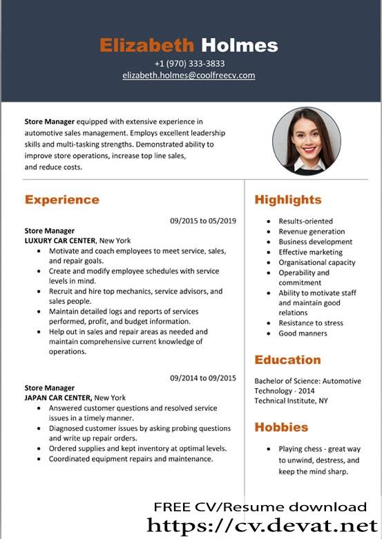 Detail It Professional Cv Template Nomer 34