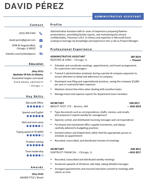 Detail It Professional Cv Template Nomer 6