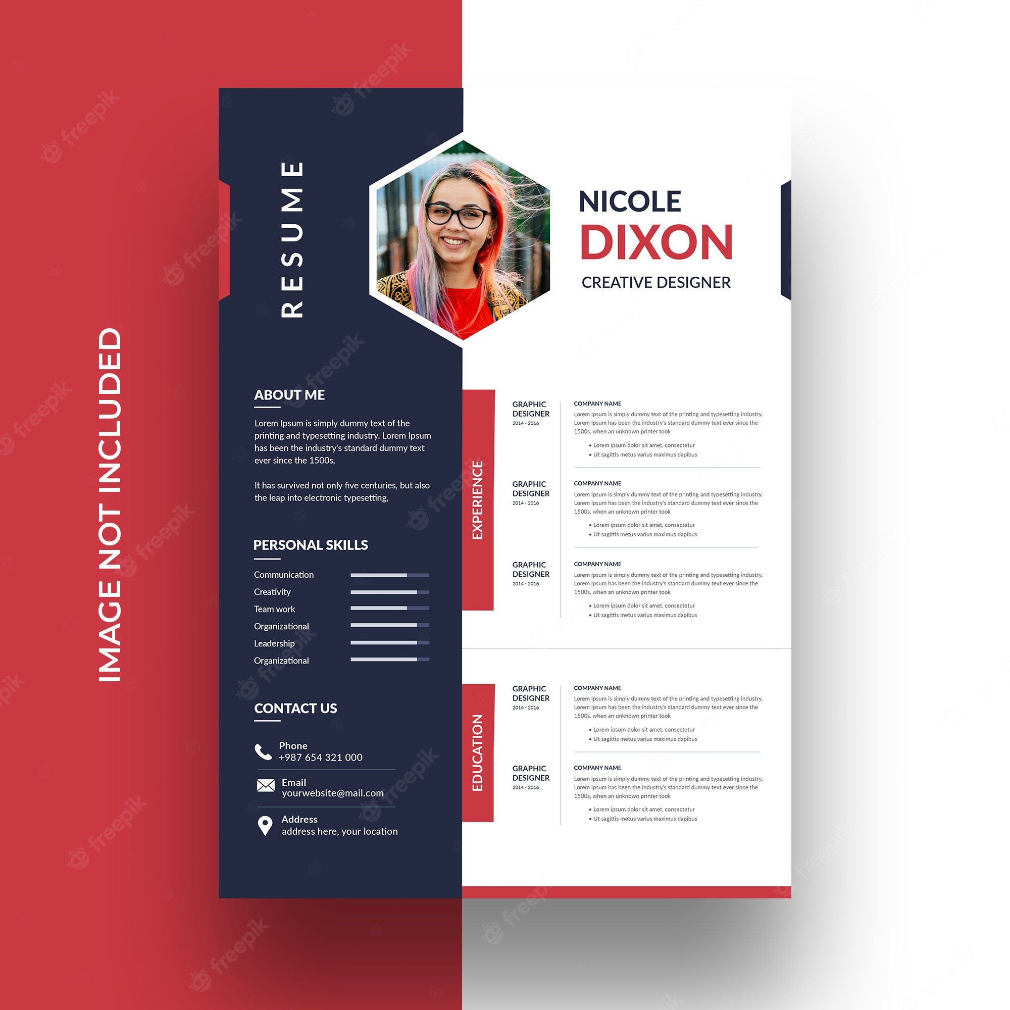 Detail It Professional Cv Template Nomer 47