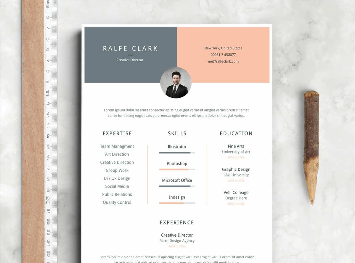 Detail It Professional Cv Template Free Download Nomer 21
