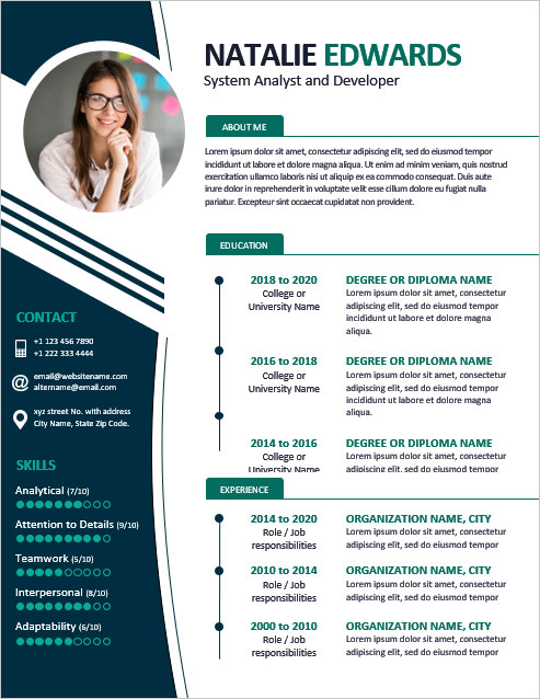 Detail It Professional Cv Template Free Download Nomer 23
