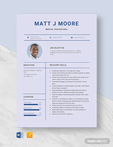 Detail It Professional Cv Template Free Download Nomer 37