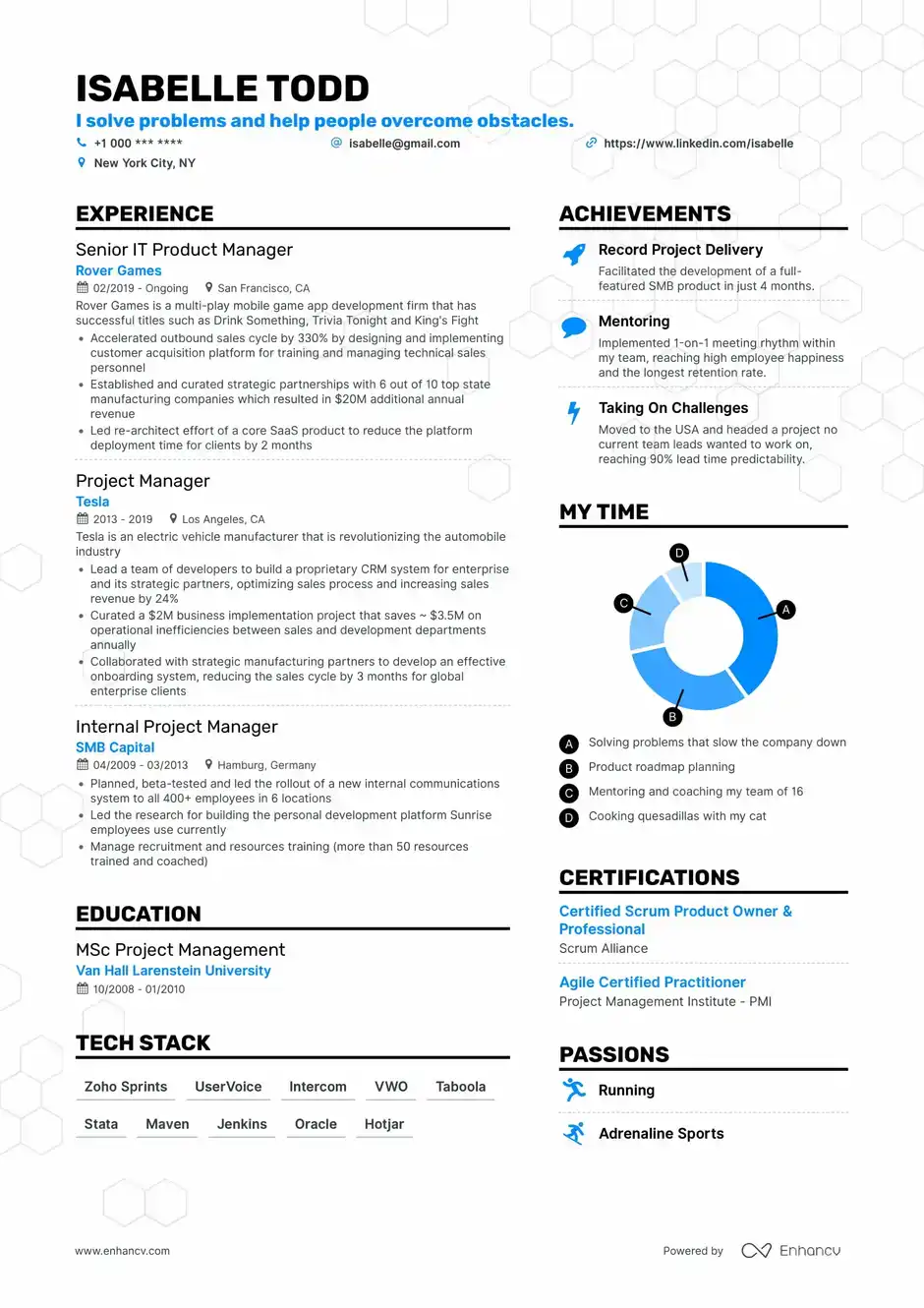 Detail It Professional Cv Template Free Download Nomer 38
