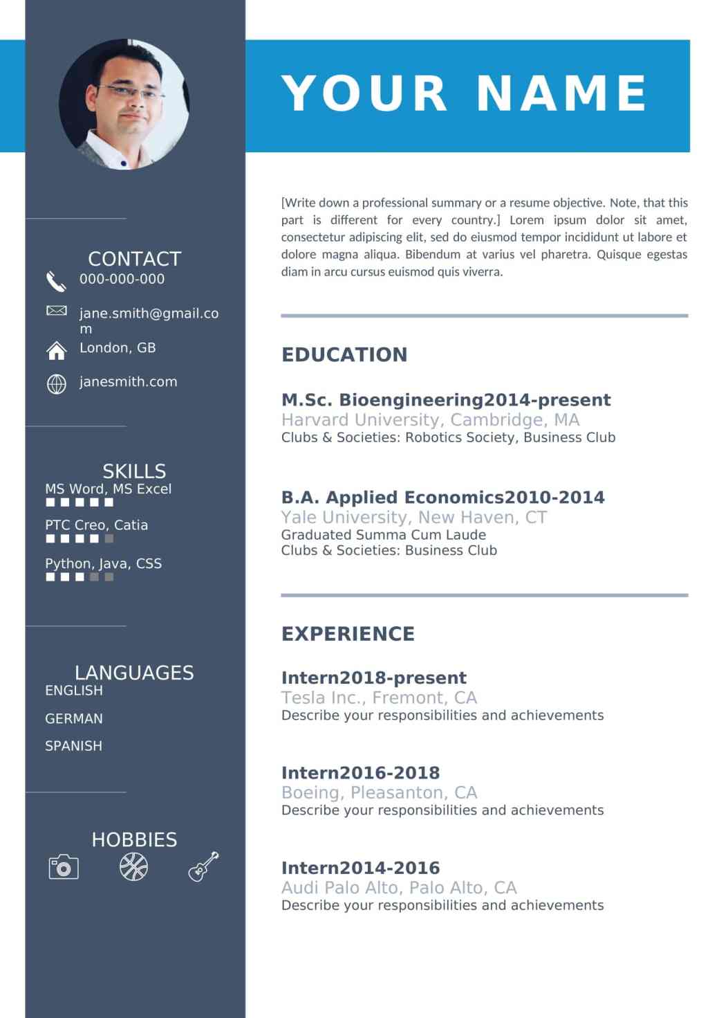 Detail It Professional Cv Template Free Download Nomer 46