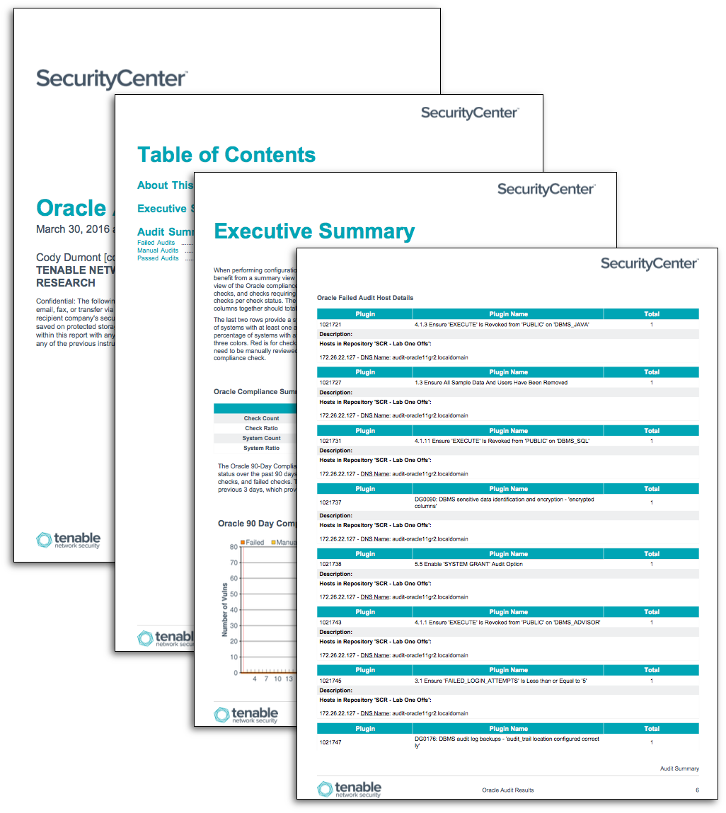 Detail It Security Audit Template Nomer 18
